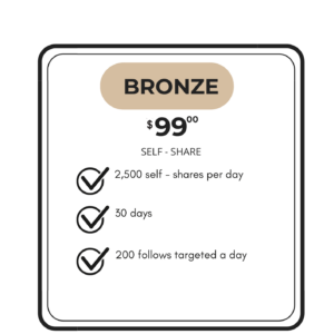 BRONZE SERVICE